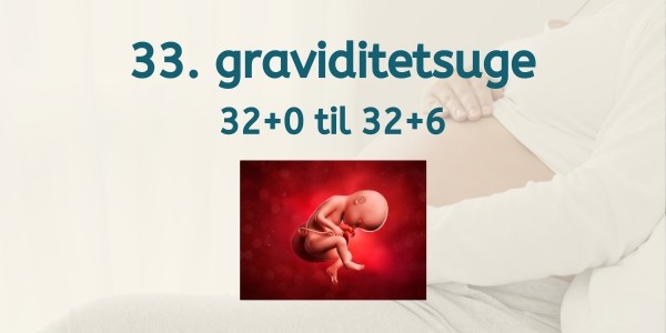 33. graviditetsuge - gravid uge 32